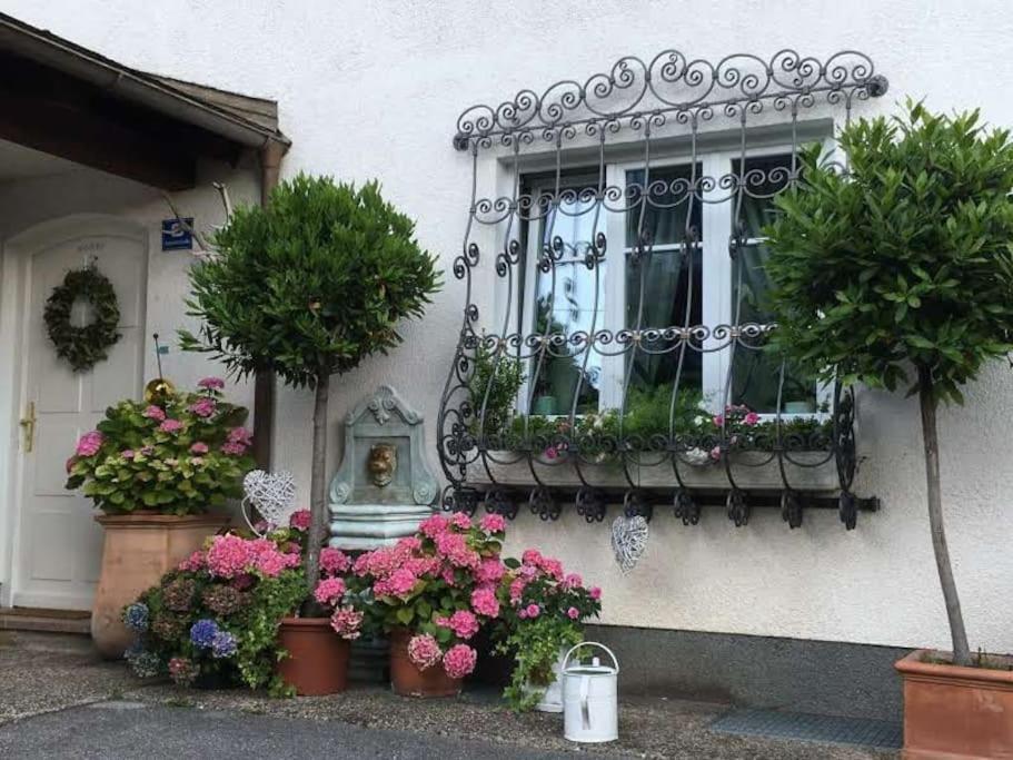 Dachwohnung Mit Seeblick Altmuenster Luaran gambar